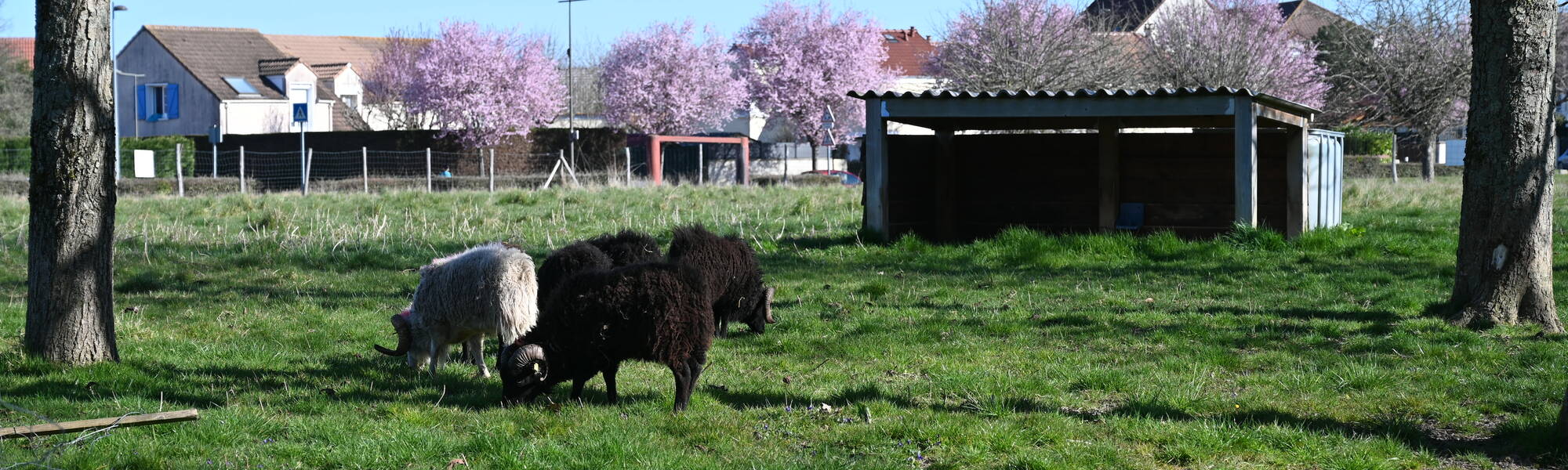 Photo de 