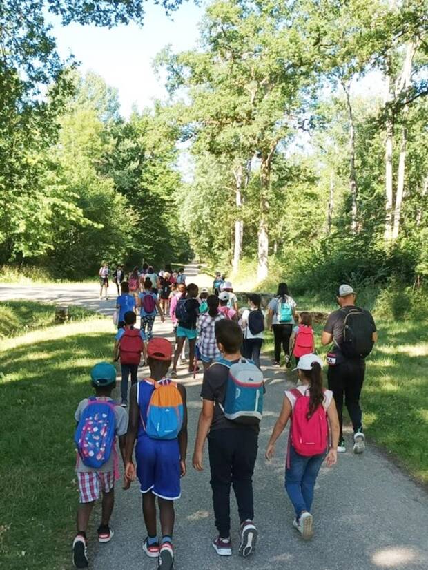 Photo d'enfants dans la fôret
