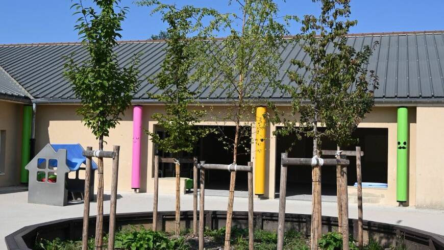 Photo d'arbres dans la cours d'école