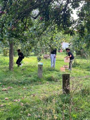Photo d'enfants ceuillant des pommes