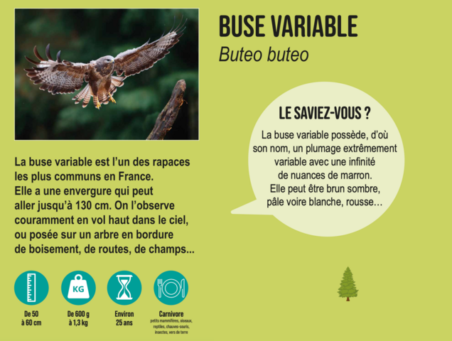 Panneau informatif sur la buse variable