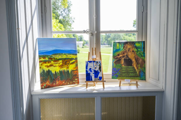 Photo de tableau pour l'exposition scène art dessin