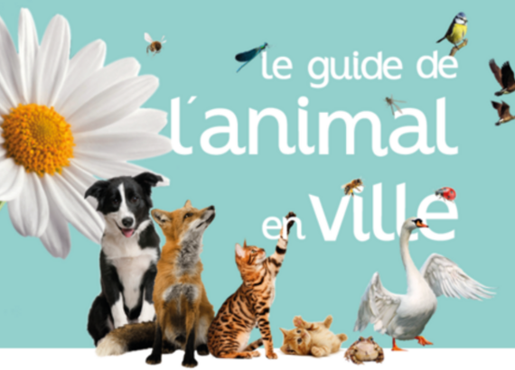 Photo de 
