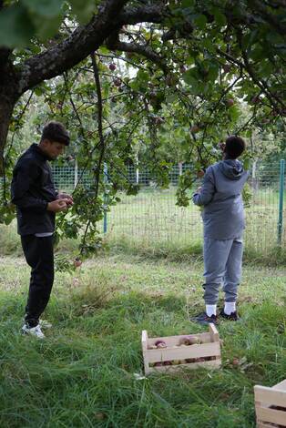 Photo de deux personnes ceuillant des pommes