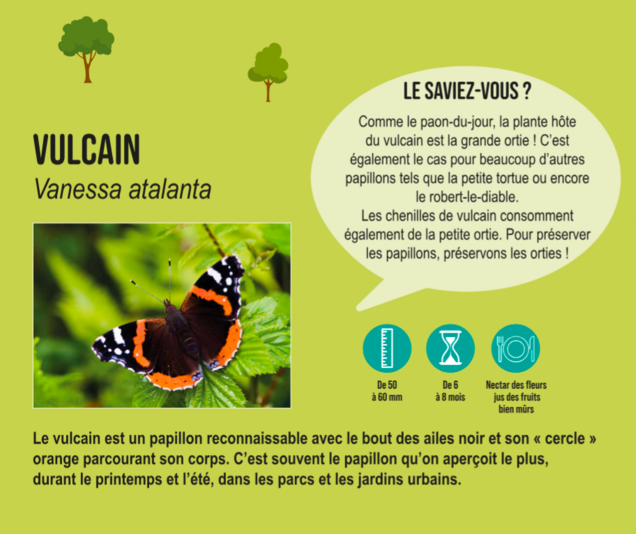 Panneau informatif sur le vulcain