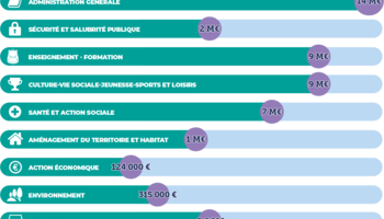 Affiche budget