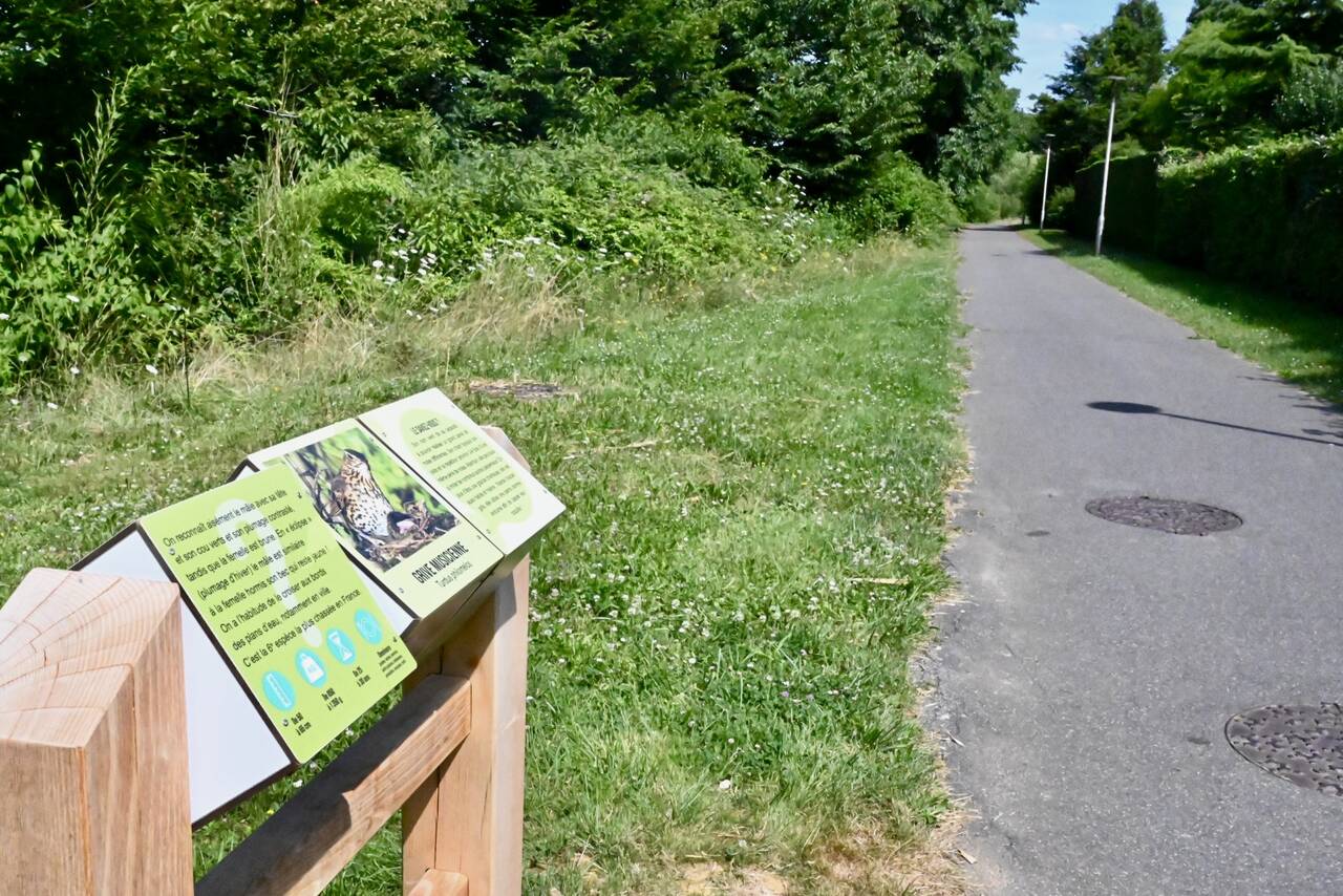 Panneau informatif sur les animaux
