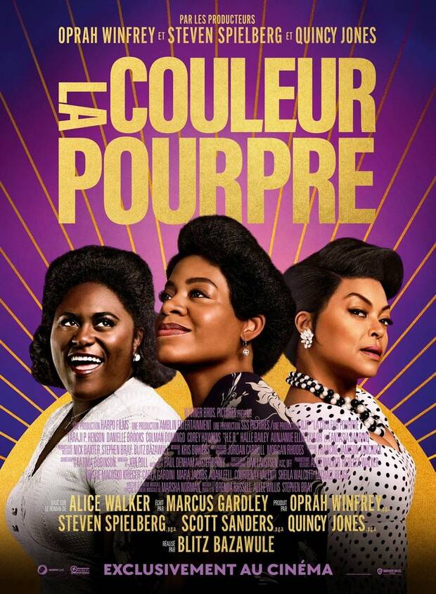 Affiche du film La couleur pourpre