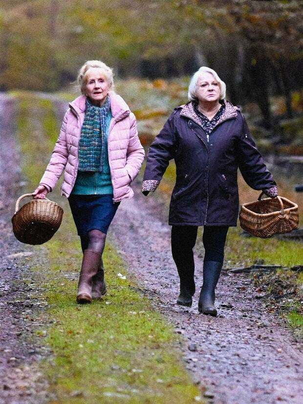 Affiche du film Quand vient l'automne