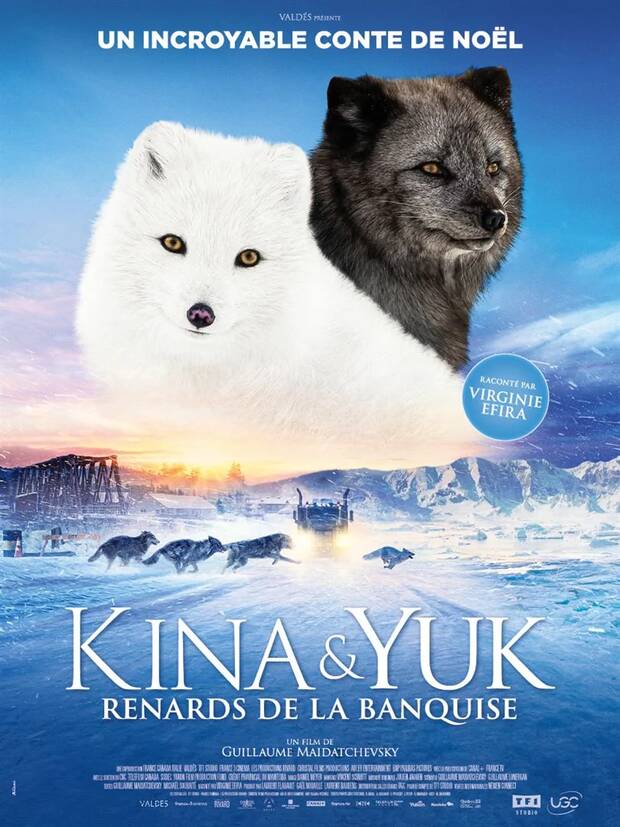 Affiche du film Kina et Yuk renards de la banquise