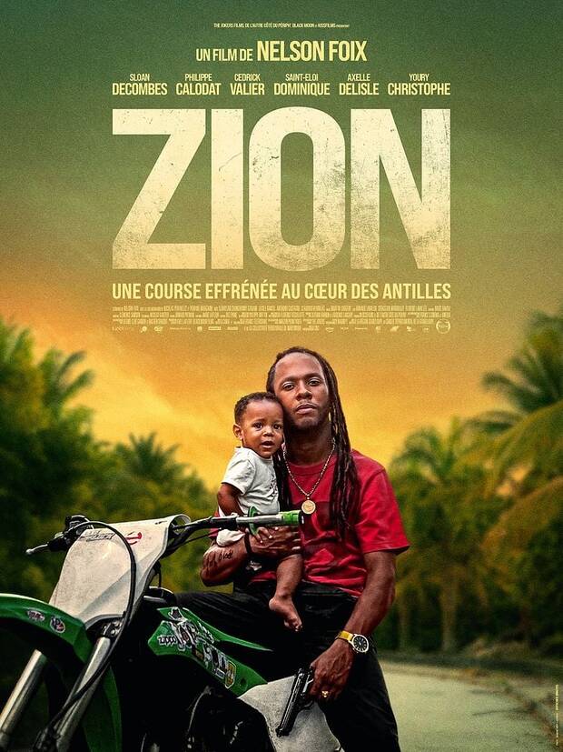 Affiche du film Zion