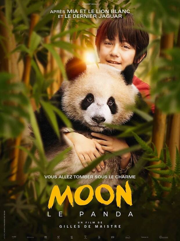 Affiche du dessin animé Moon le panda